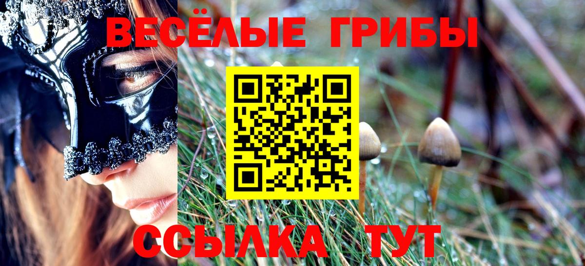 сколько стоит  Вход с VPN  Каменск-Шахтинский  Галлюциногенные грибы прущие грибы  Галлюциногенные грибы Cubensis 
