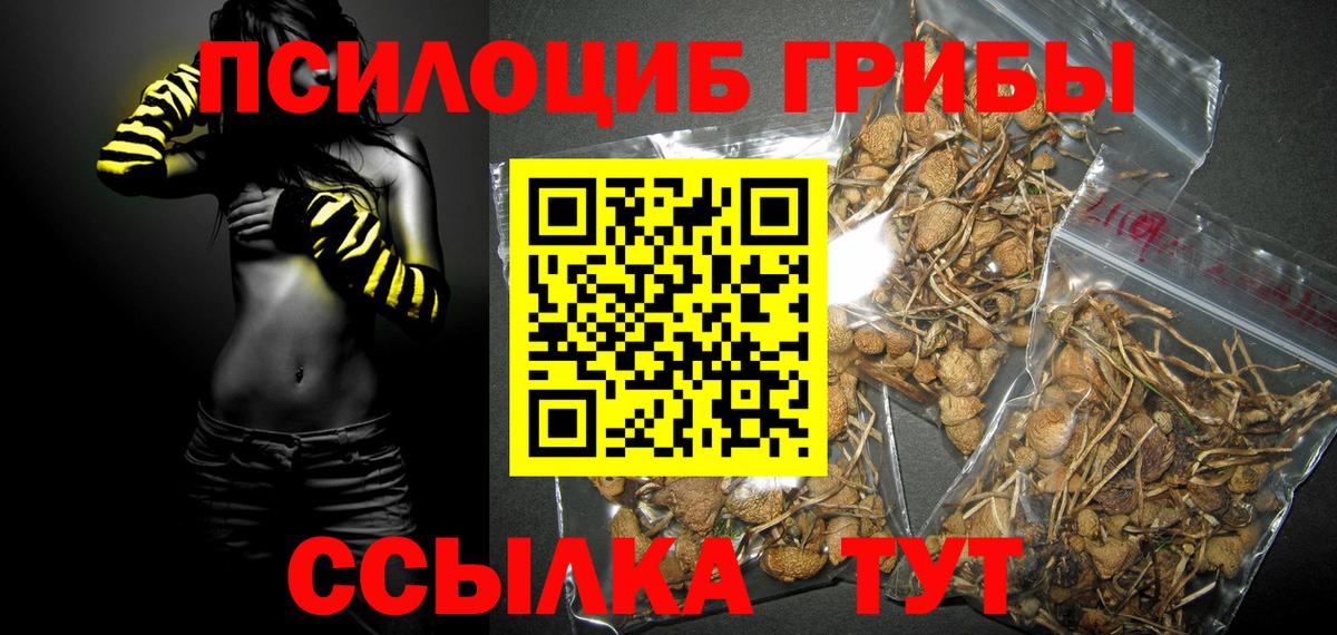 Галлюциногенные грибы ЛСД Каменск-Шахтинский
